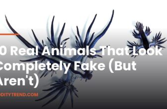 10 Real Animals That Look Completely Fake (But Aren't)